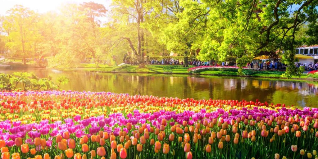 Keukenhof Garden