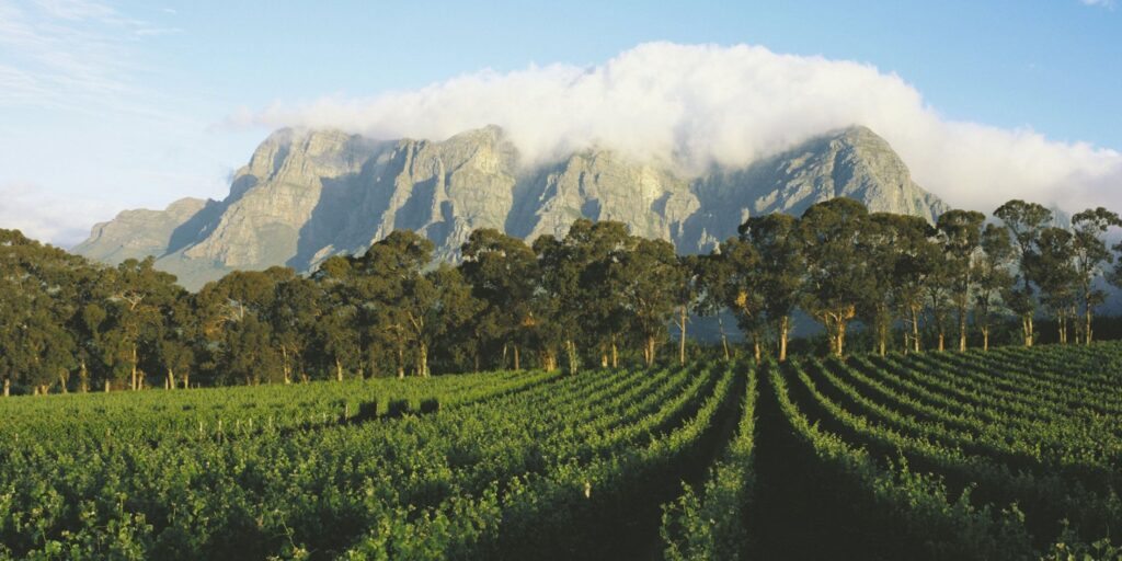 Winelands