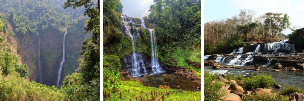 Loas2