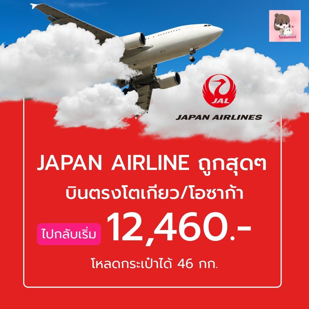 Pro Airline (1)
