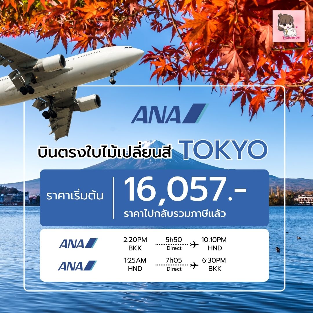 บินตรงใบไม้เปลี่ยนสี