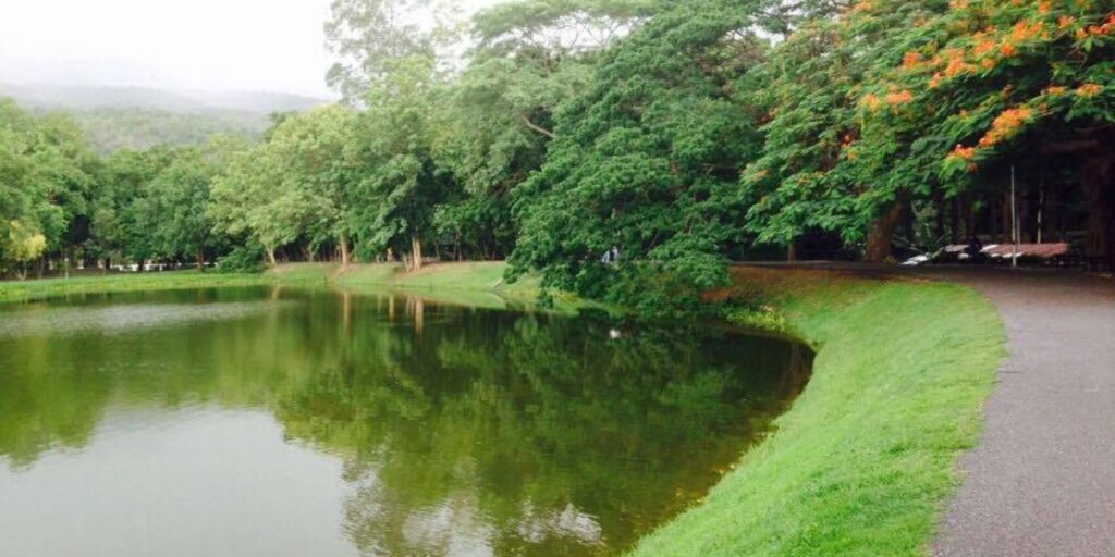 อ่างแก้ว มหาวิทยาลัยเชียงใหม่