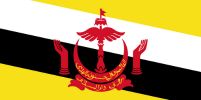 Brunei Flag